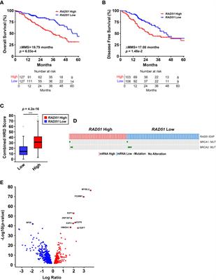 MYBL2-Driven Transcriptional Programs Link Replication Stress and Error-prone DNA Repair With Genomic Instability in Lung Adenocarcinoma